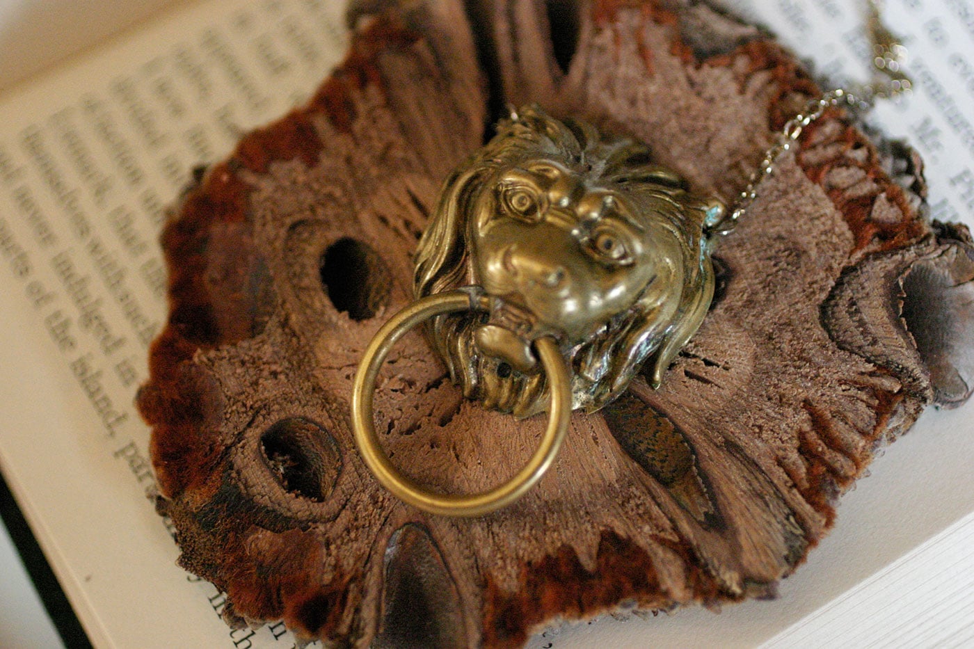 Lion head necklace